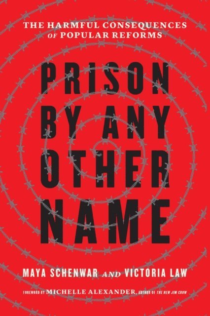 Victoria Law, Maya Schenwar - Prison by Any Other Name, E-bok