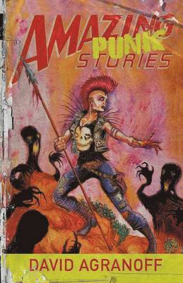 David Agranoff - Amazing Punk Stories, Häftad