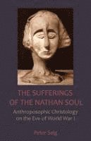 Peter Selg - Sufferings of the Nathan Soul, Häftad