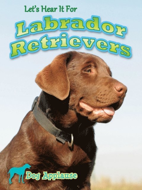Piper Welsh - Let's Hear It For Labrador Retrievers, E-bok. Tillgänglighet: Lägg i varukorg