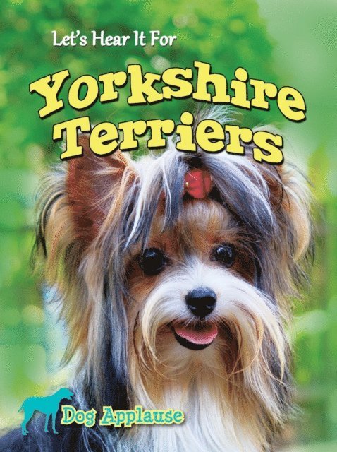 Let's Hear It For Yorkshire Terriers