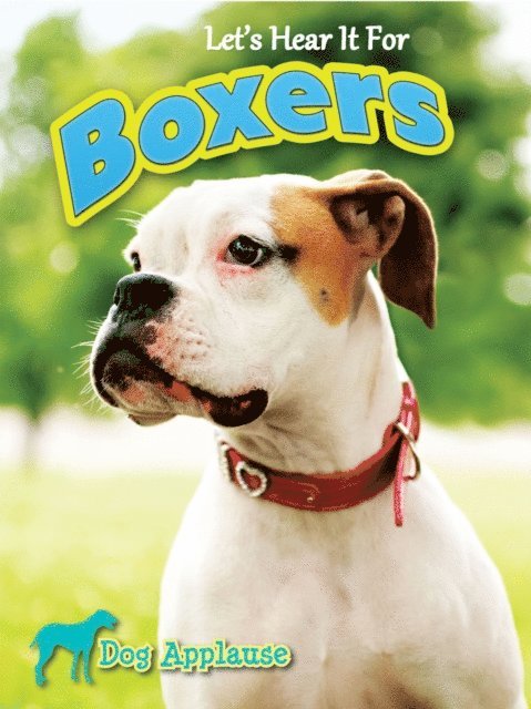 Piper Welsh - Let's Hear It For Boxers, E-bok. Tillgänglighet: Lägg i varukorg