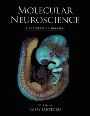Rusty Lansford - Molecular Neuroscience, Häftad