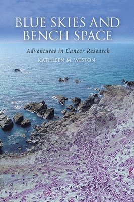 Kathleen M Weston - Blue Skies and Bench Space, Inbunden. Tillgänglighet: Tillfälligt slut