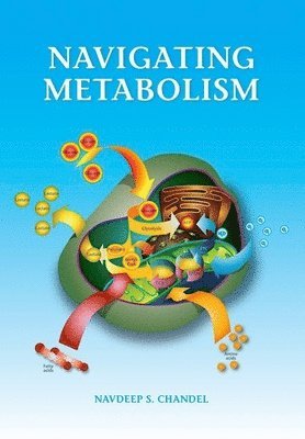 Navdeep Chandel - Navigating Metabolism, Häftad