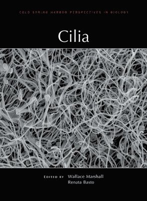Wallace Marshall, Renata Basto, Wallace Marshall, Renata Basto - Cilia, Inbunden