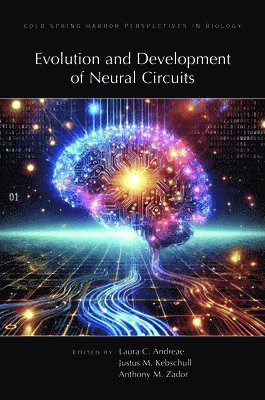 Laura Andreae, Justus Kebschull, Tony Zador - Evolution & Development of Neural Circuits, Inbunden