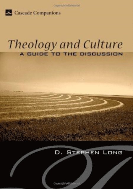 D. Stephen Long - Theology and Culture, E-bok