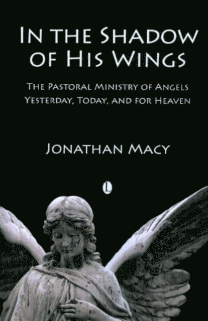 Jonathan Macy - In the Shadow of His Wings, E-bok