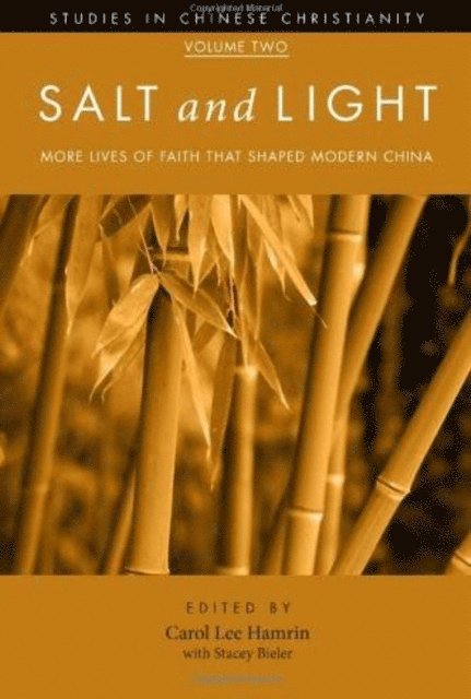 Stacey Bieler, Carol Lee Hamrin - Salt and Light, Volume 2, E-bok