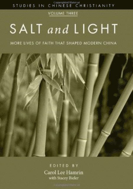 Stacey Bieler, Carol Lee Hamrin - Salt and Light, Volume 3, E-bok