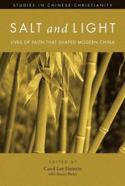 Stacey Bieler, Carol Lee Hamrin - Salt and Light, Volume 1, E-bok