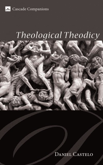 Daniel Castelo - Theological Theodicy, E-bok