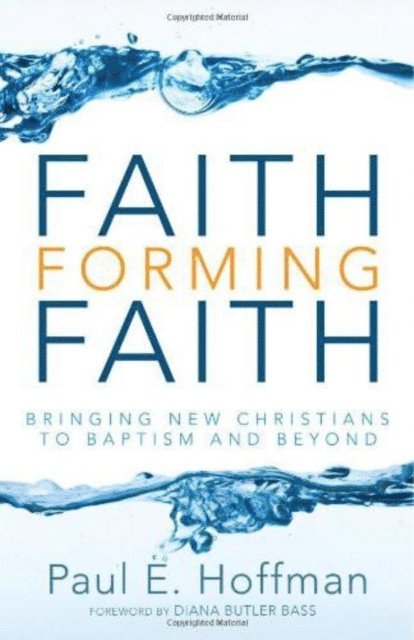 Paul E. Hoffman - Faith Forming Faith, E-bok