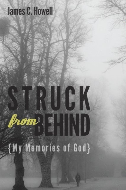 James C. Howell - Struck from Behind, E-bok