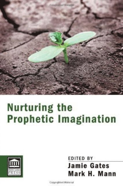 Mark Mann, Jamie Gates - Nurturing the Prophetic Imagination, E-bok