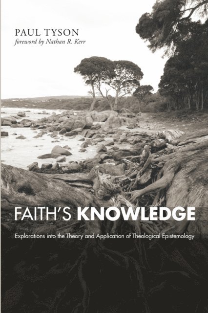 Paul Tyson - Faith's Knowledge, E-bok