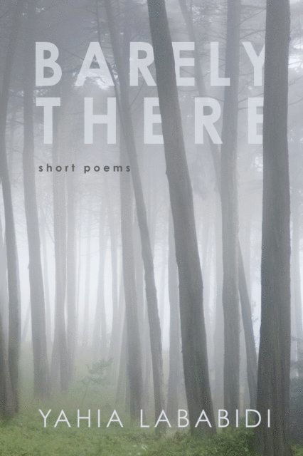 Yahia Lababidi - Barely There, E-bok