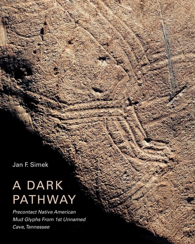 Jan F. Simek - Dark Pathway, Inbunden