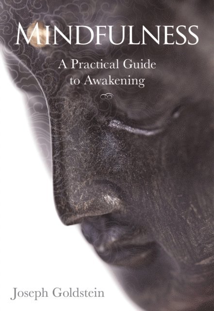 Joseph Goldstein - Mindfulness, E-bok