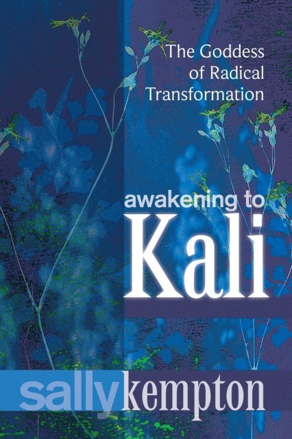 Sally Kempton - Awakening to Kali, E-bok