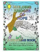 Sue and Chelsea Badeau - Building Bridges of Hope, Häftad
