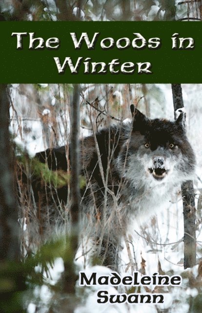 Madeleine Swann - Woods in Winter, E-bok