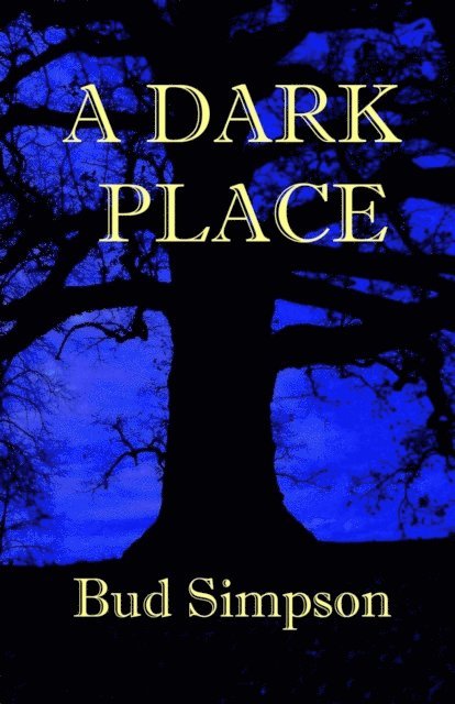 Bud Simpson - Dark Place, E-bok
