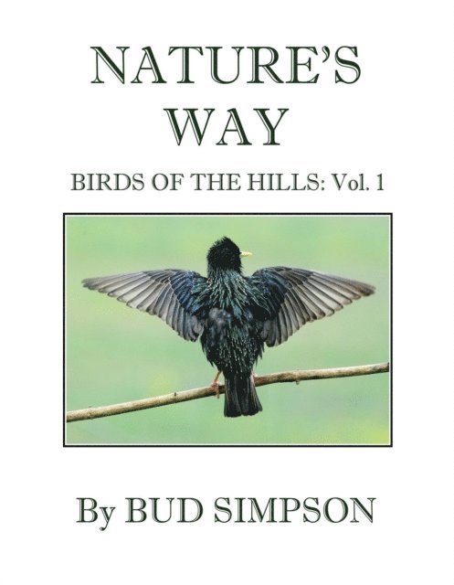 Bud Simpson - Nature's Way: Birds of the Hills: Vol. 1, E-bok