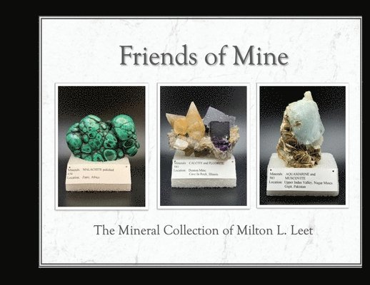 Friends of Mine
