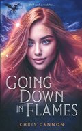 Going Down in Flames