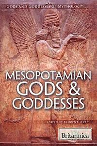 Vincent Hale - Mesopotamian Gods & Goddesses, Inbunden