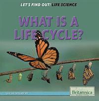Louise A. Spilsbury - What Is a Life Cycle?, Inbunden. Tillgänglighet: Lägg i varukorg