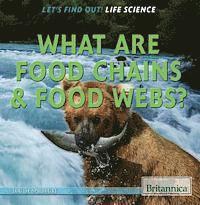 Louise A. Spilsbury - What Are Food Chains & Food Webs?, Inbunden. Tillgänglighet: Lägg i varukorg