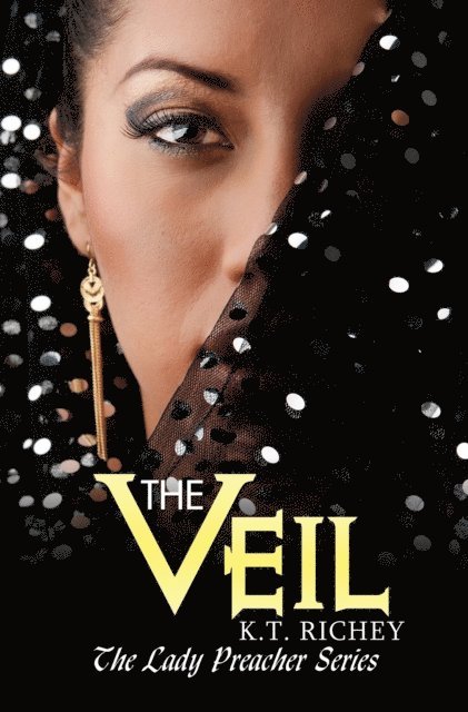 K.T. Richey - Veil, E-bok