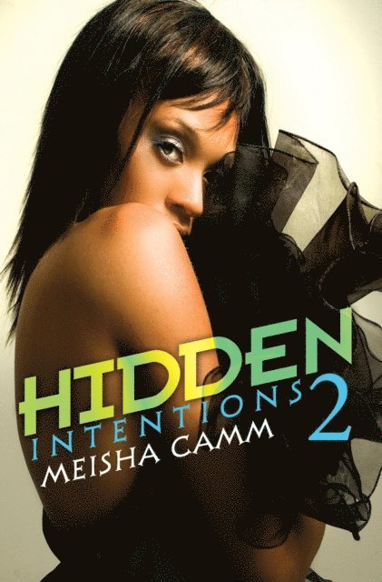 Meisha Camm - Hidden Intentions 2, E-bok