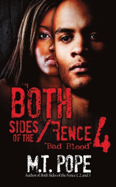 M.T. Pope - Both Sides of the Fence 4, E-bok