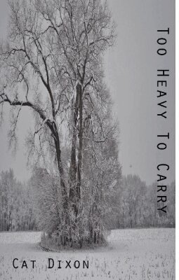 Cat Dixon - Too Heavy to Carry, Häftad