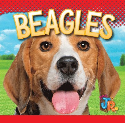 Marysa Storm - Beagles, Inbunden