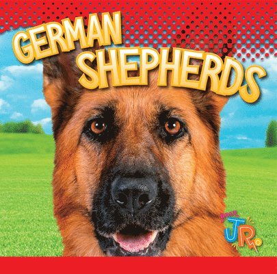 Marysa Storm - German Shepherds, Inbunden
