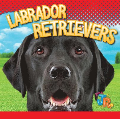 Marysa Storm - Labrador Retrievers, Inbunden