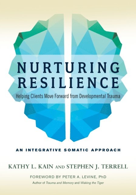 Stephen J. Terrell, Kathy L. Kain - Nurturing Resilience, E-bok