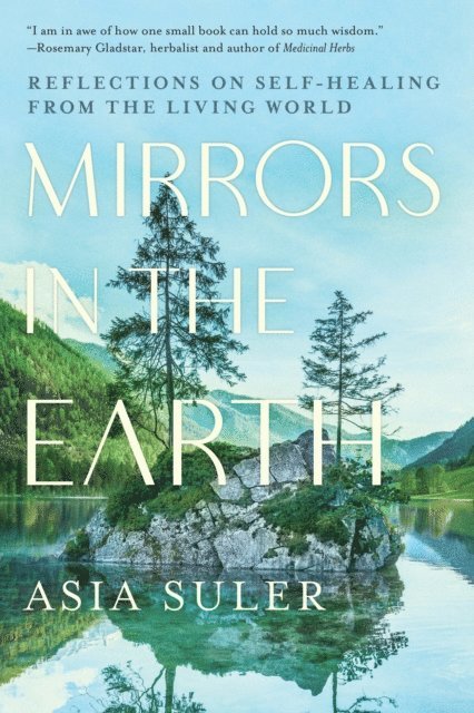 Asia Suler - Mirrors in the Earth, E-bok