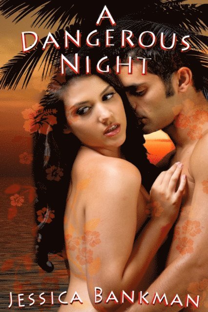 Jessica Bankman - Dangerous Night, E-bok