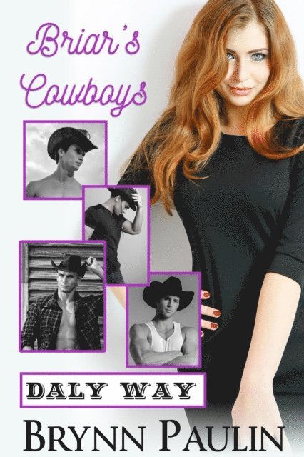 Brynn Paulin - Briar's Cowboys, E-bok