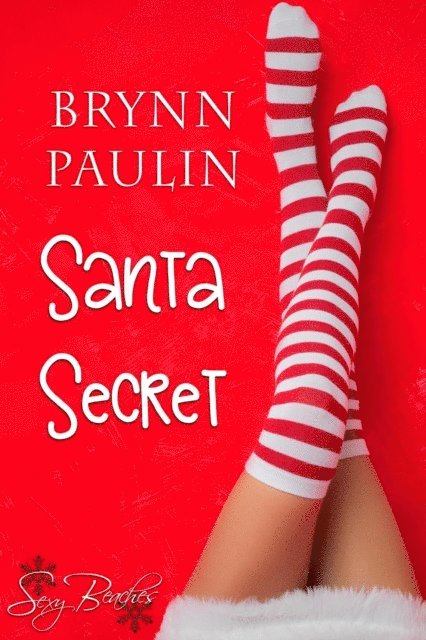 Brynn Paulin - Santa Secret, E-bok