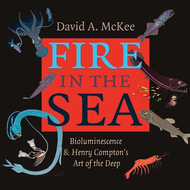 David A. McKee, Henry Compton - Fire in the Sea, Inbunden. Tillgänglighet: Tillfälligt slut