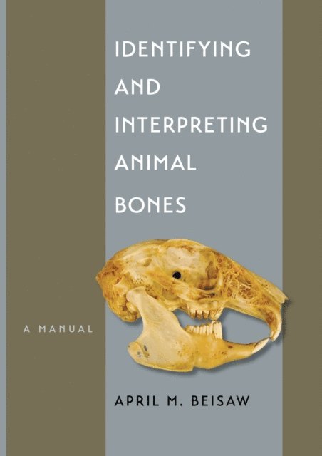 April M. Beisaw - Identifying and Interpreting Animal Bones, E-bok