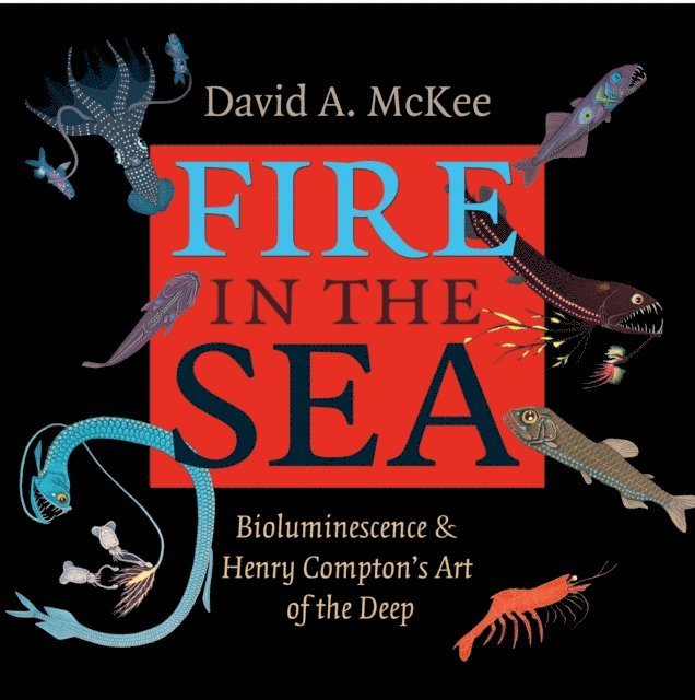 Henry Compton, David A. McKee - Fire in the Sea, E-bok