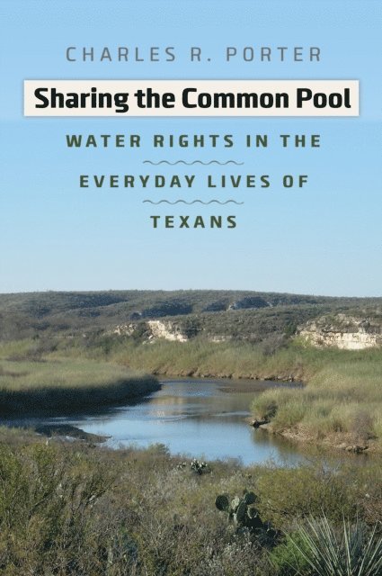Charles R. Porter - Sharing the Common Pool, E-bok